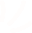 Vector(3).png